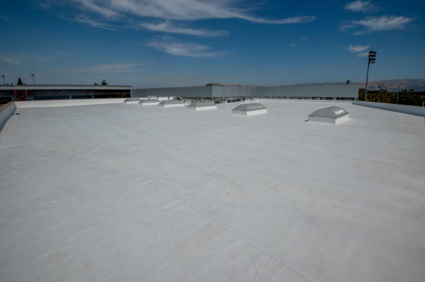 Asphalt Shingles Roofing in Three Oaks, FL