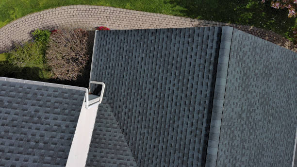 Steel Roofing in Three Oaks, FL